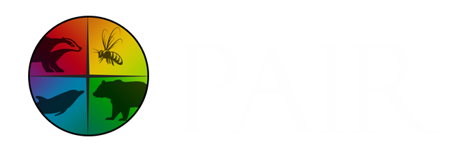 PAIR: Discover Who You Are