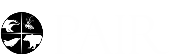 Learn More About PAIR